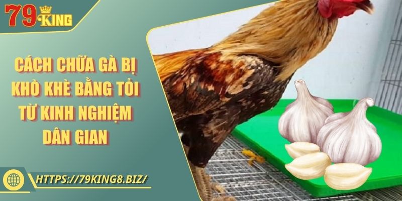 Cách Chữa Gà Bị Khò Khè Bằng Tỏi Từ Kinh Nghiệm Dân Gian